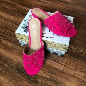 𝑆𝐴𝑁𝐷𝐴𝐿𝑆